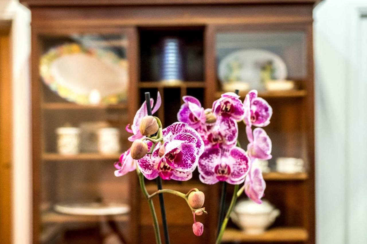 Il Salotto Di Nonna Cornelia 2 Hotel Napoli Ngoại thất bức ảnh